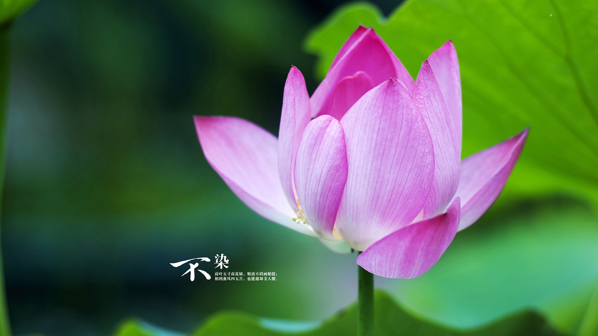 高校体育赛事应急预案制定与实施,体育竞赛应急预案