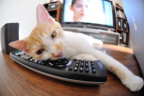 爱游戏娱乐-“FIFA扩军首届落地美国，奖金高达1.25亿美元”