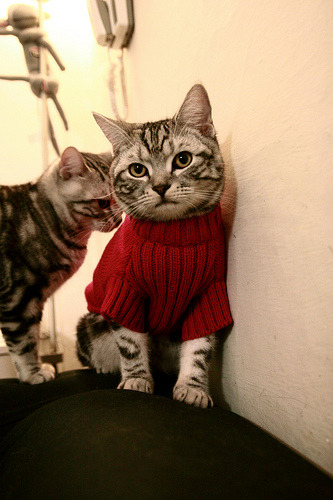 爱游戏在线登录入口-中国三人女篮保持高强度训练 提升整体实力，中国三人女篮球名单