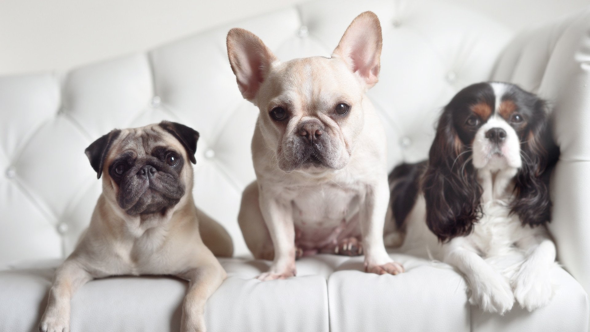 亚洲杯中国青年队战败 球员经验不足暴露，青年队 亚冠