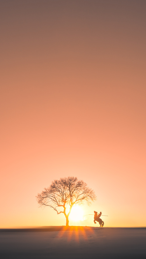 奥运村食品追溯系统上线保障饮食安全,奥运村食物