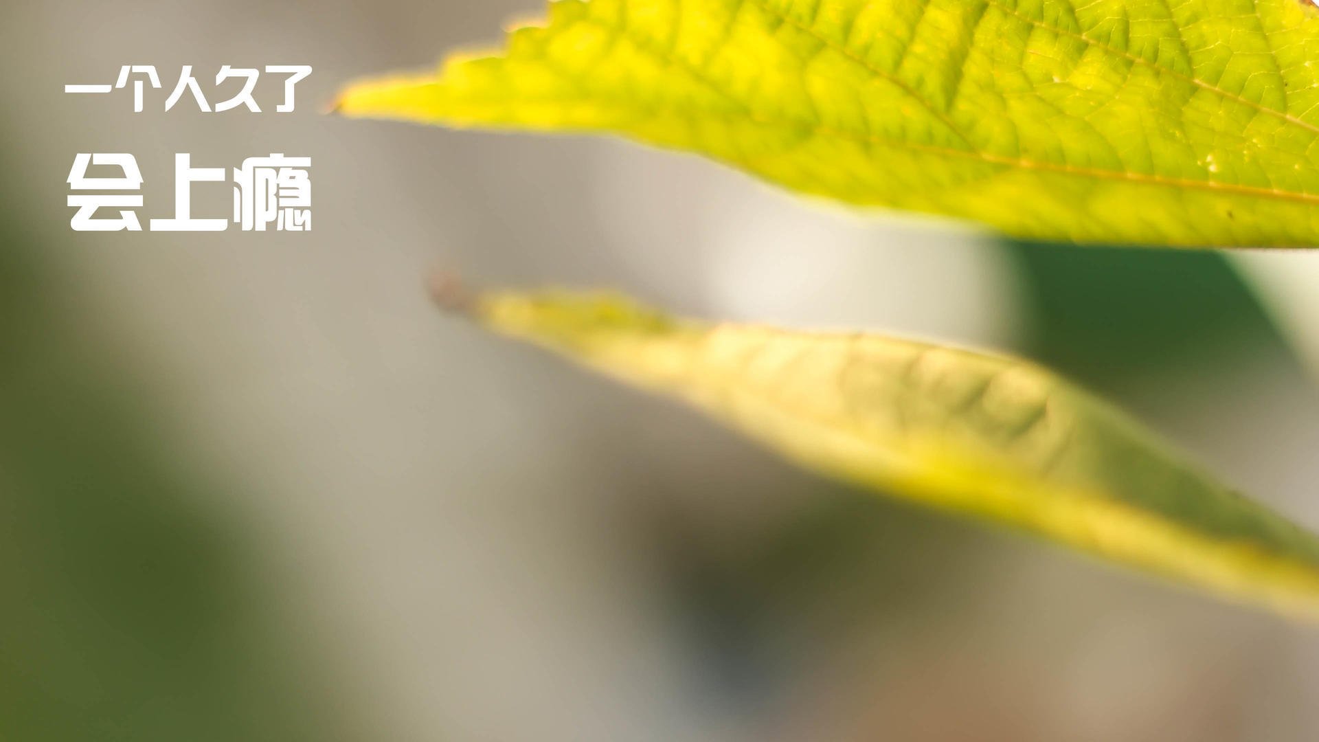 AYX体育-弗拉门戈控球率高，防线前压无惧反击，弗拉门戈球队图片