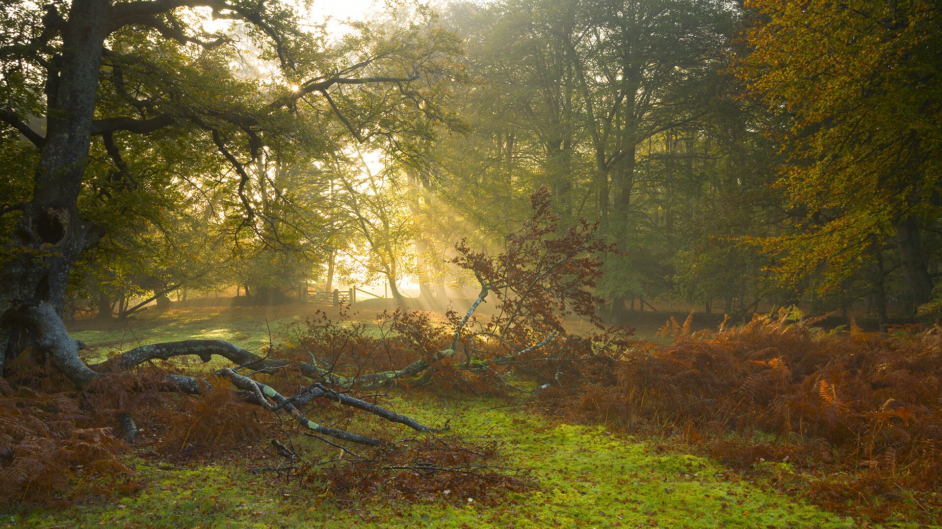 爱游戏平台-本土球员海外适应能力培养缺口大，海外球员过多,所允许的最大数量为3