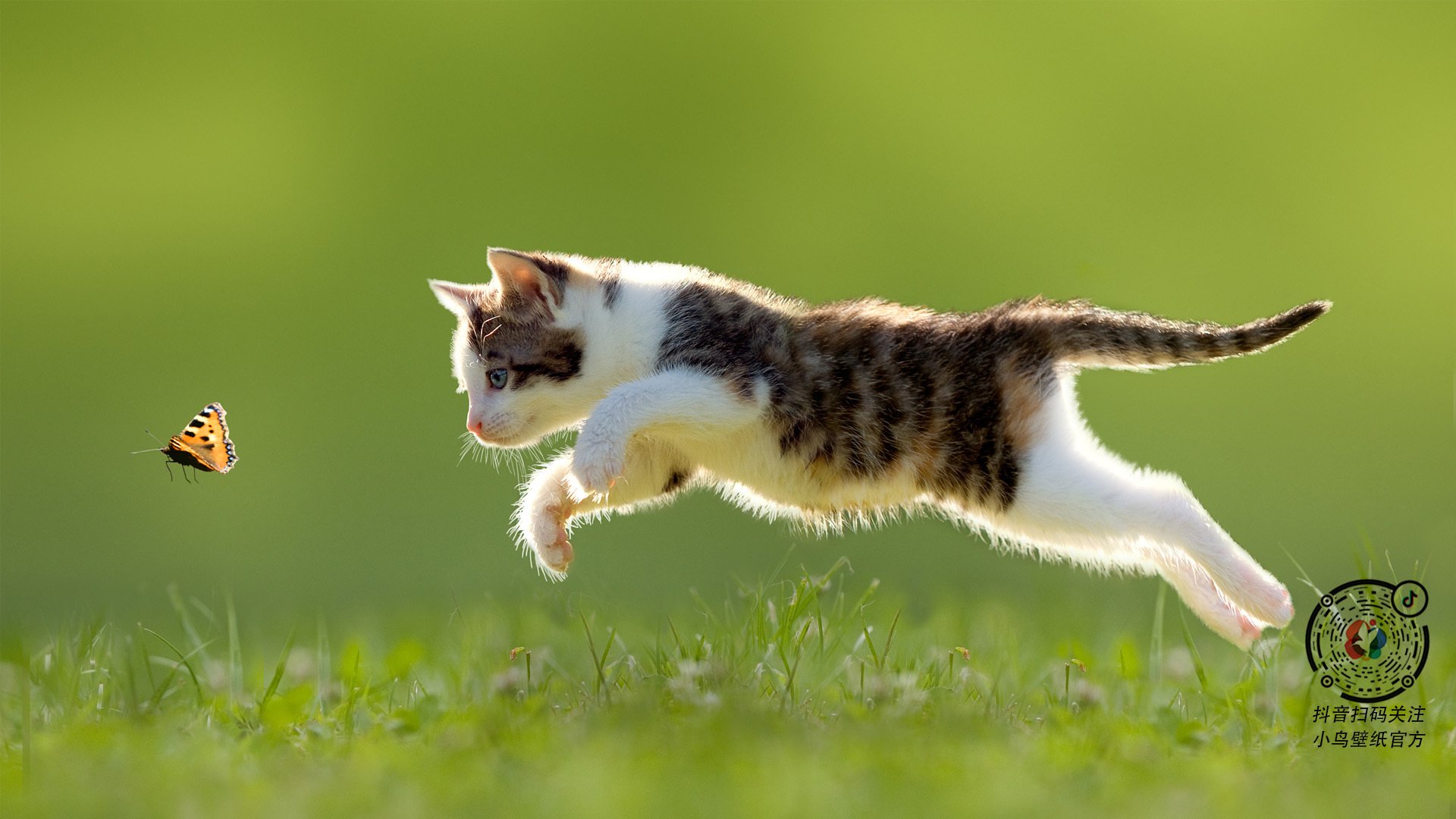 爱游戏官网-“南非羚羊队的新领袖：埃尔斯·霍斯特的崭露头角”