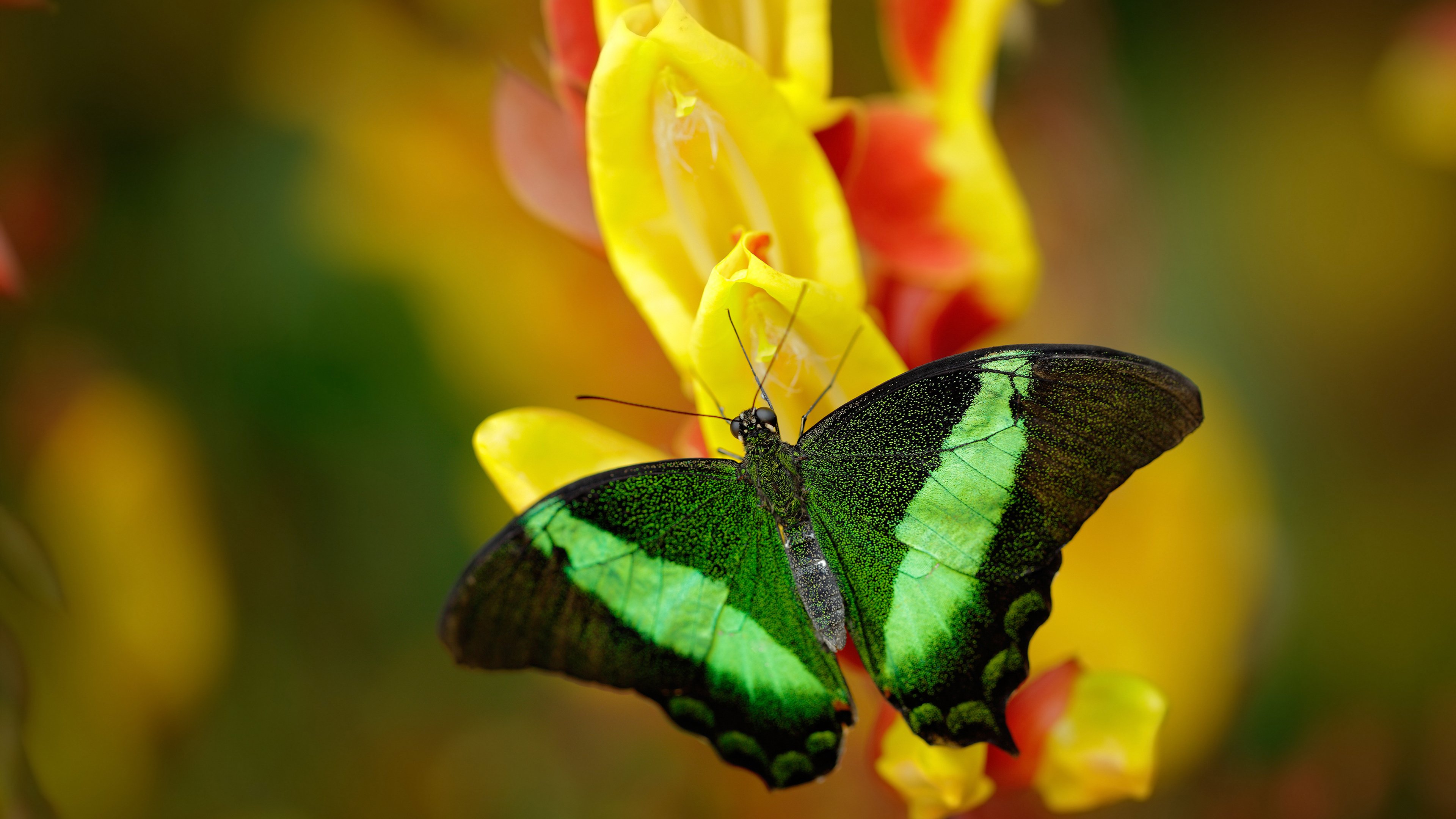 国家队制定短期三阶段目标提升备战节奏效率