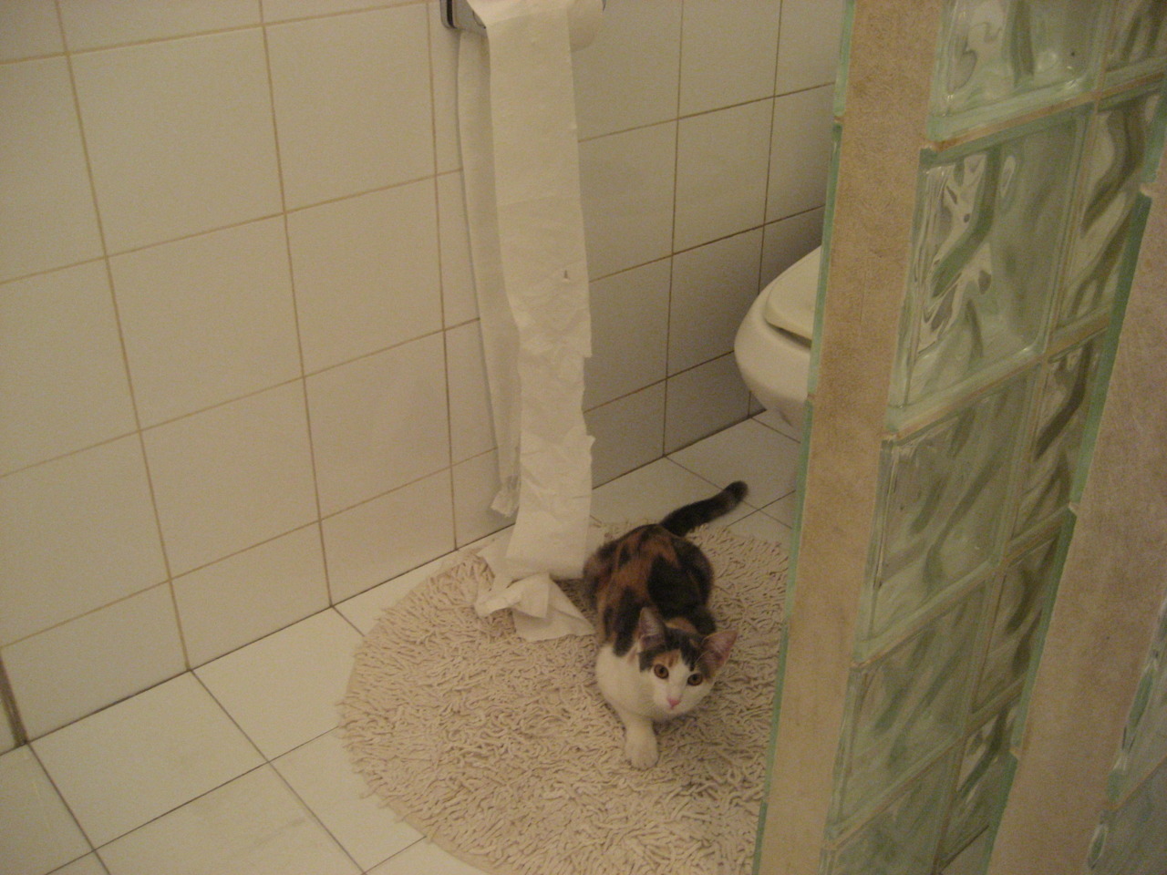 斯洛伐克女篮在欧洲预赛中表现优异，格局逐步建立，斯洛伐克女篮国手