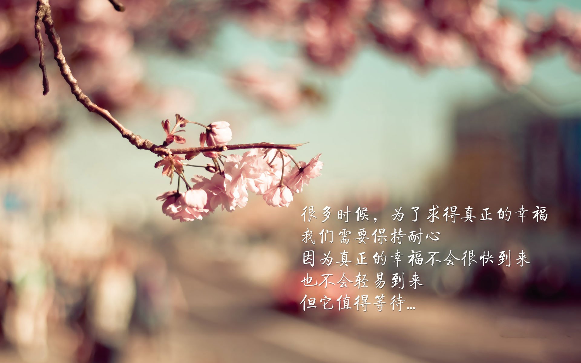 简：作为全黑队的边锋，他的突破能力为全黑队注入源源动力，mf简黑