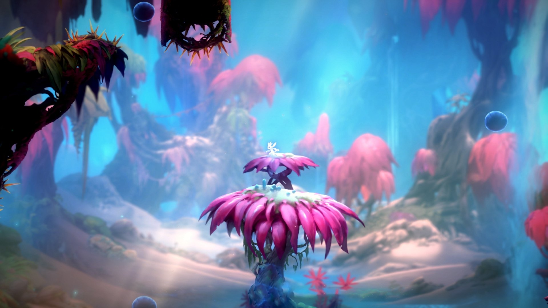 西甲球队的国际化发展策略，西甲 球队