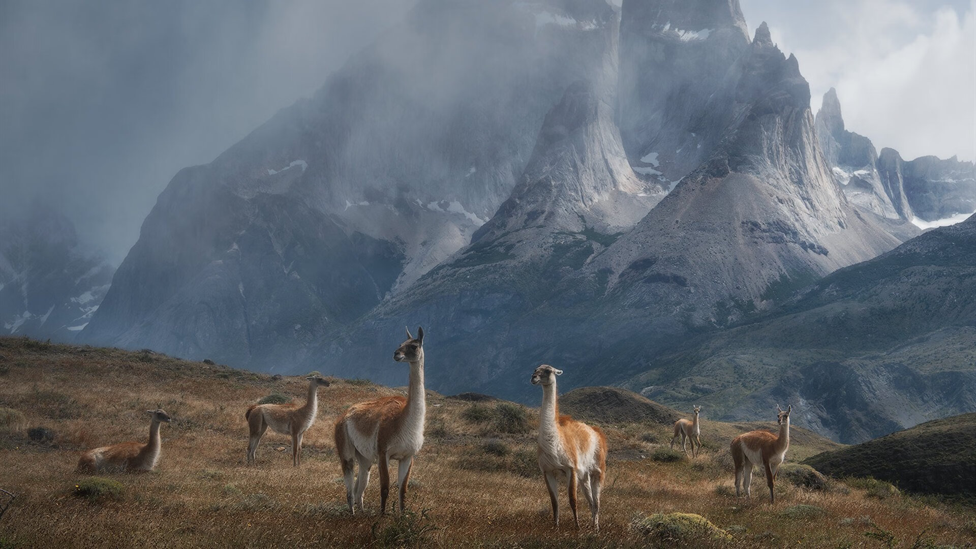 足球运动员健康管理体系不断完善，科学预防运动损伤，足球运动员的保护措施