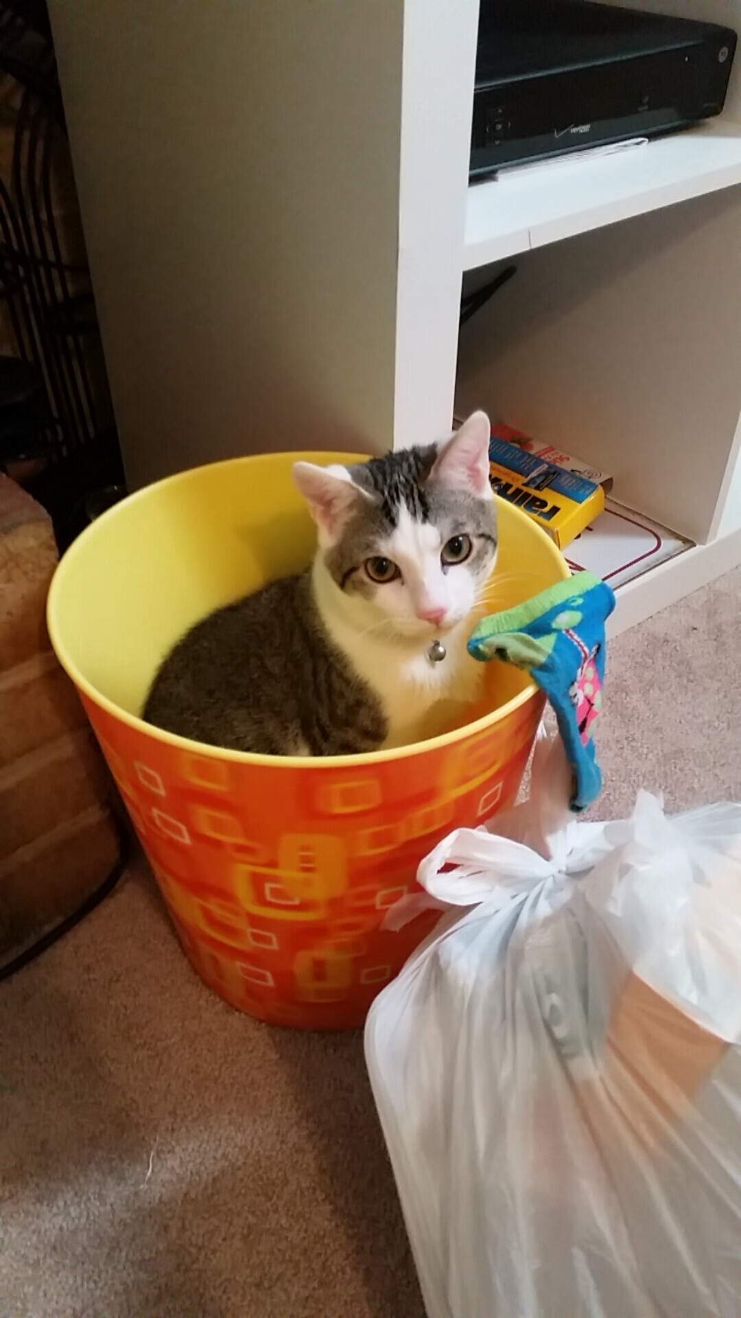 爱游戏体育-赞比亚男篮在非洲锦标赛中夺冠，开启体育崛起新篇章，非洲杯冠军赞比亚