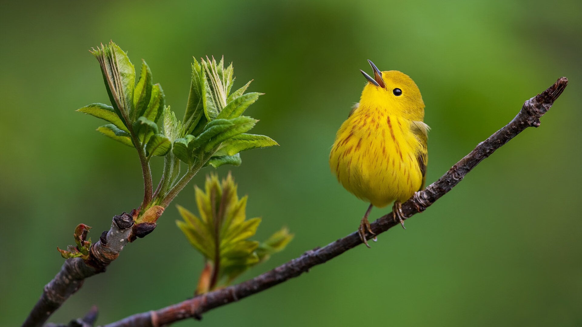 AYX GAME-青训基地将举办跨专业交流会促进多学科融合成长，青训营条件